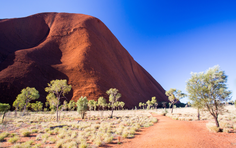 JY-My-Story-Suzanne-Uluru-800x500.png