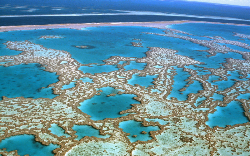 JY-My-Story-Suzanne-GreatBarrierReef-800x500.png