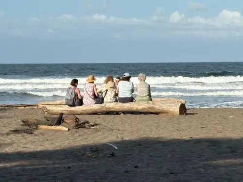 690c8f86-0621-4322-aae0-9f28ce76ed16 (1).jpg