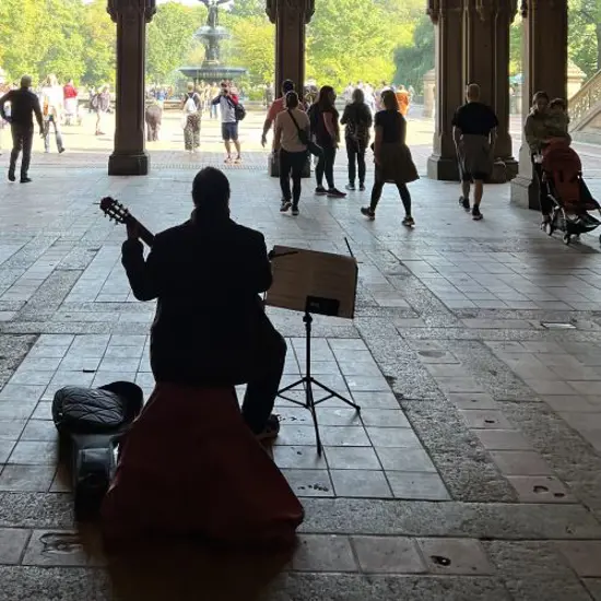 Sunyc Central Park 500X500