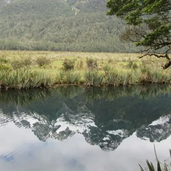 Jan Babb Breathtaking New Zealand.jpg