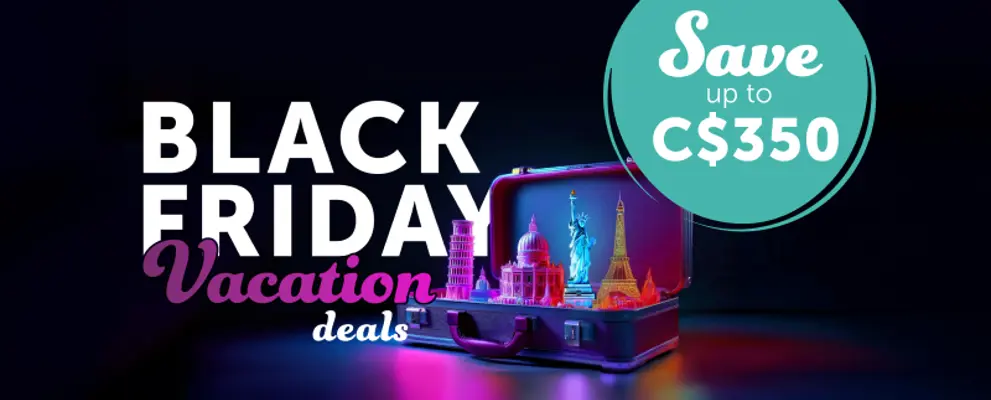 Black friday homepage banner